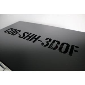 COG-SHH-3DOF MOTION SYSTEM